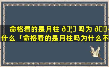 命格看的是月柱 🦟 吗为 🌷 什么「命格看的是月柱吗为什么不能结婚」